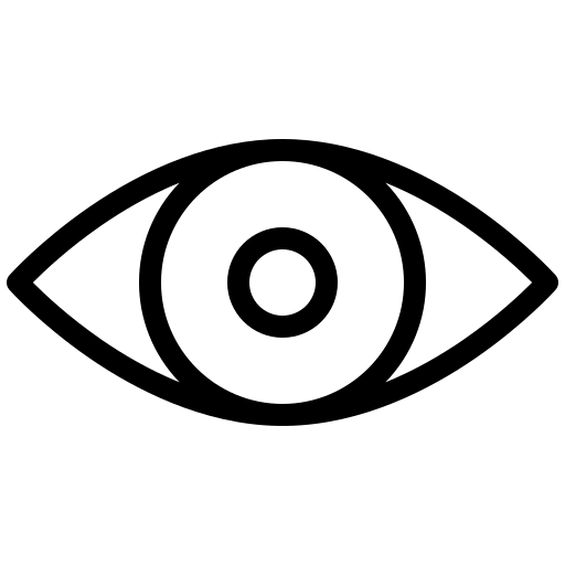Vision Eye Icon